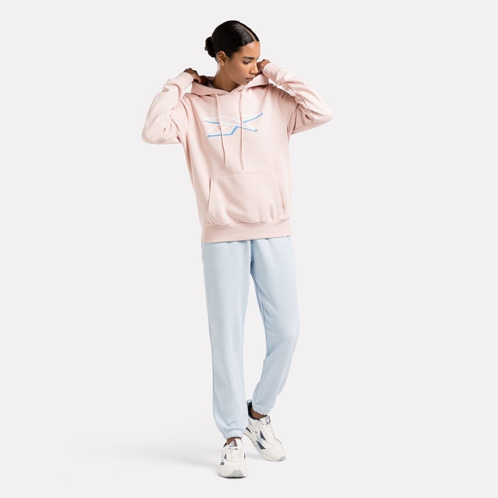 Sudadera con capucha Reebok Vector Graphic